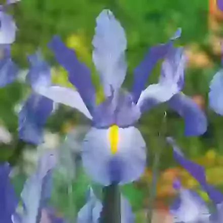 Discovery